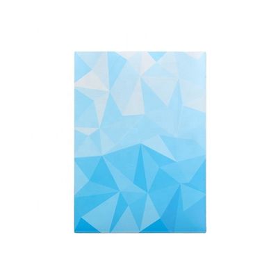 Grafisch drukken aangepaste kaarthulzen 66x91 66x92 voor zuurvrij PVC-vrij bescherming