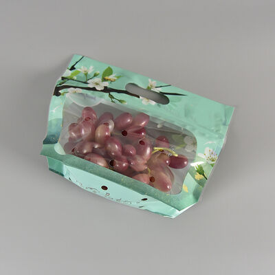 Op maat gemaakte, voedselveilige, heldere plastic verpakking voor verse producten, groenten en fruit, CPP, hersluitbare ziplock-zak